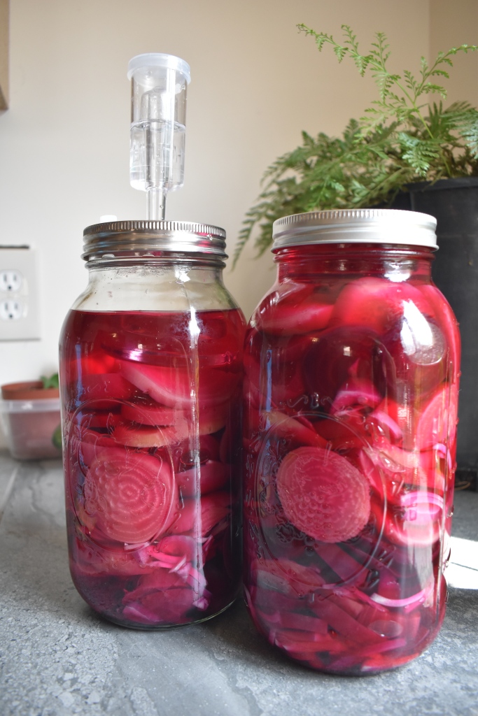 fermented beets